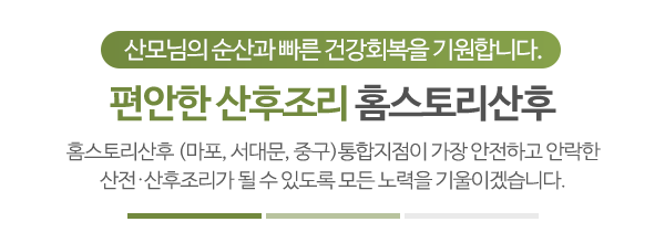 홈스토리산후(마포/서대문/중구)_메인문구_내용